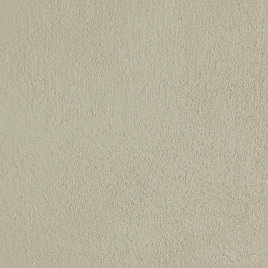 Paint - Bear