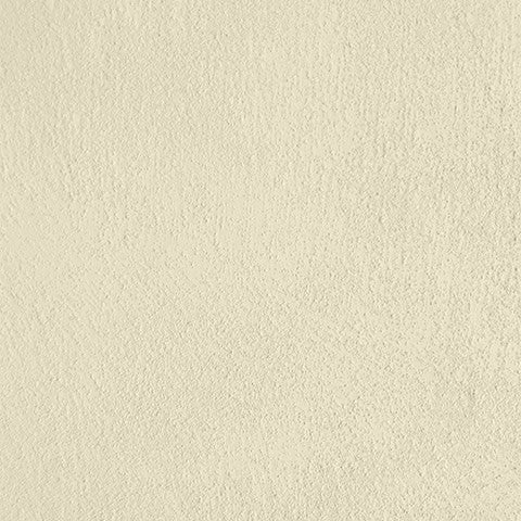 Paint - Honeybuzz