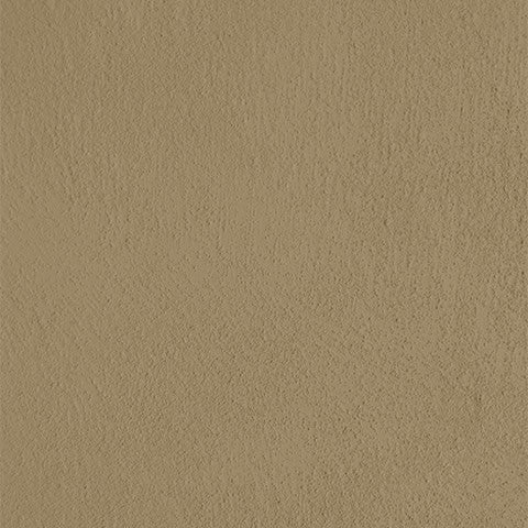 The farm paint - Gingerbeer