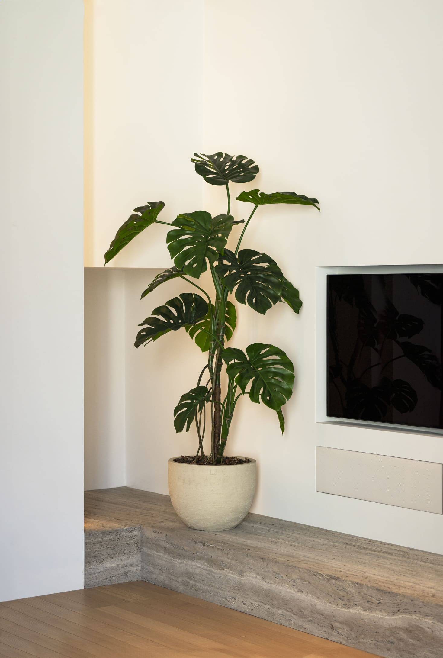 Kunstboom Monstera 150cm
