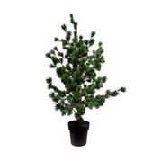 Kunstboom Ceder in pot 120 cm grey