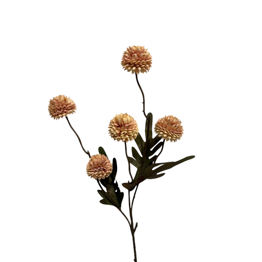 Kunsttak Pompom S Champagne