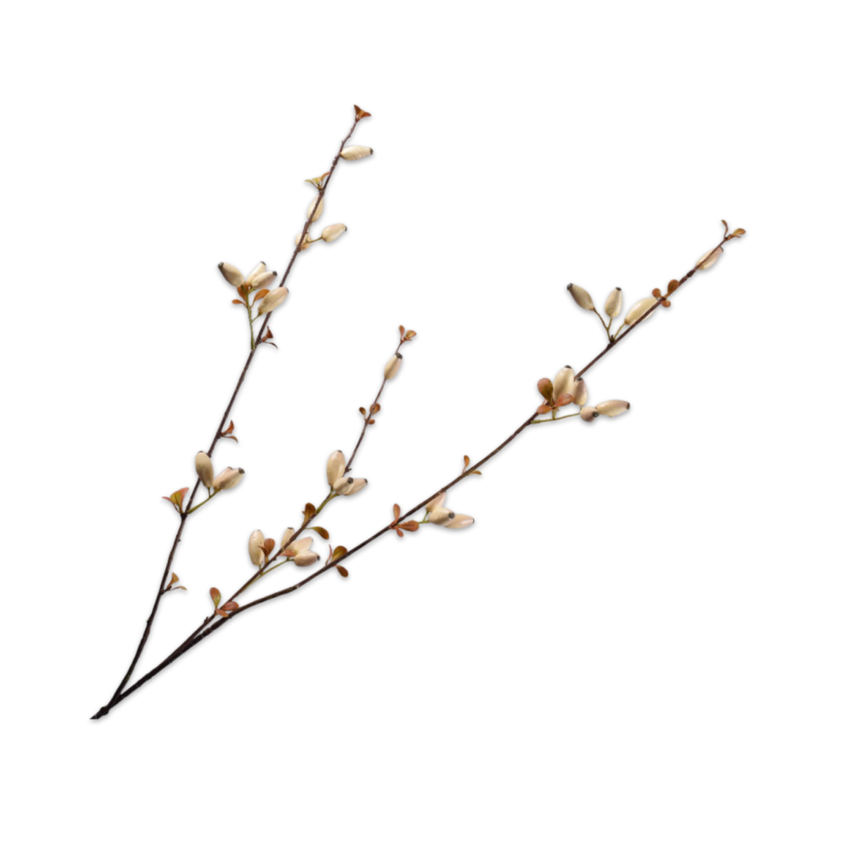 Kunsttak Rozenbottel creme 84 cm
