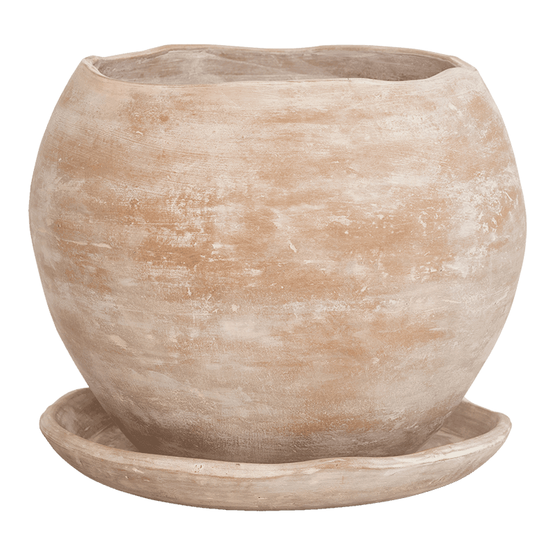Pot Terra