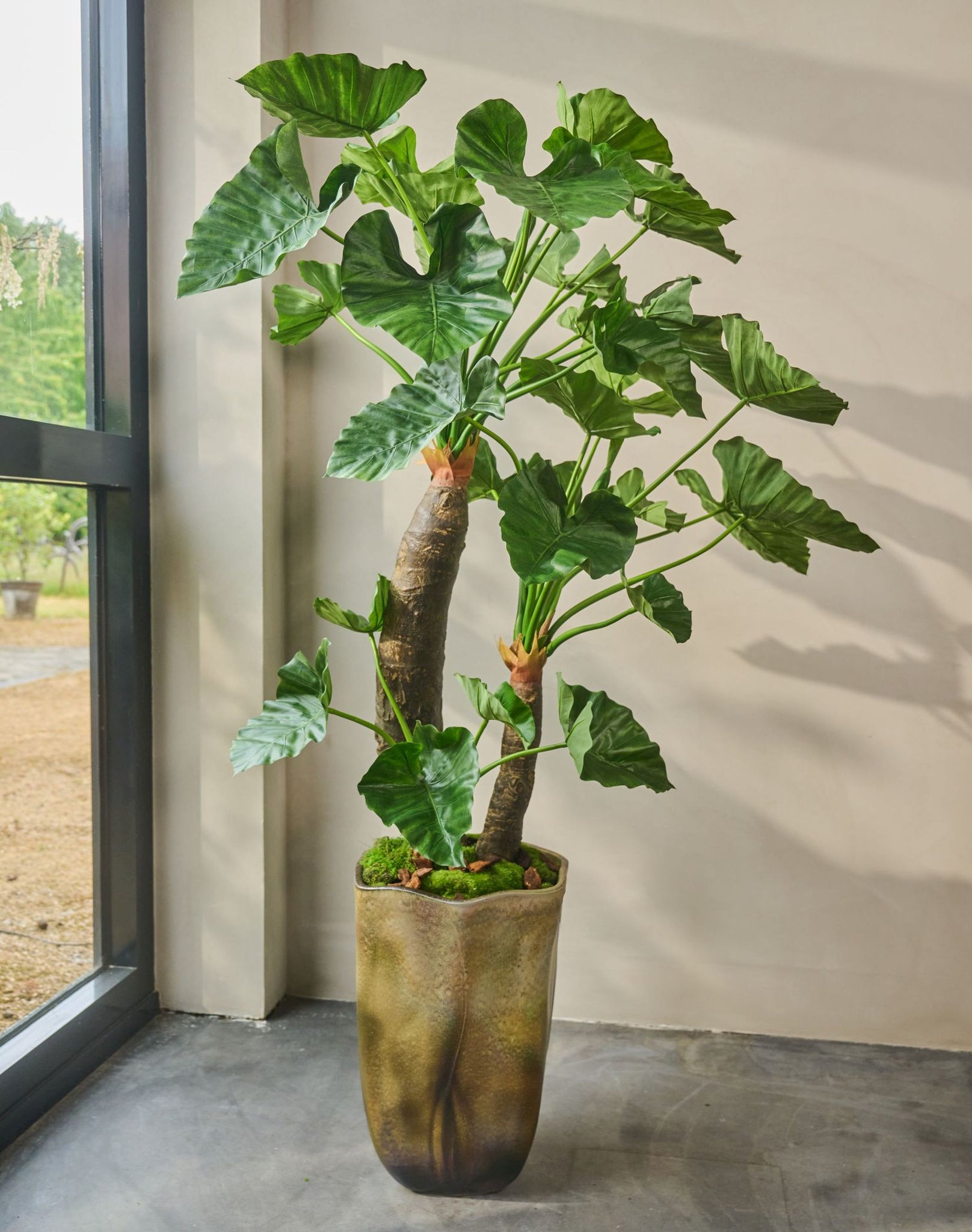 Kunstplant Alocasia groen  170 cm