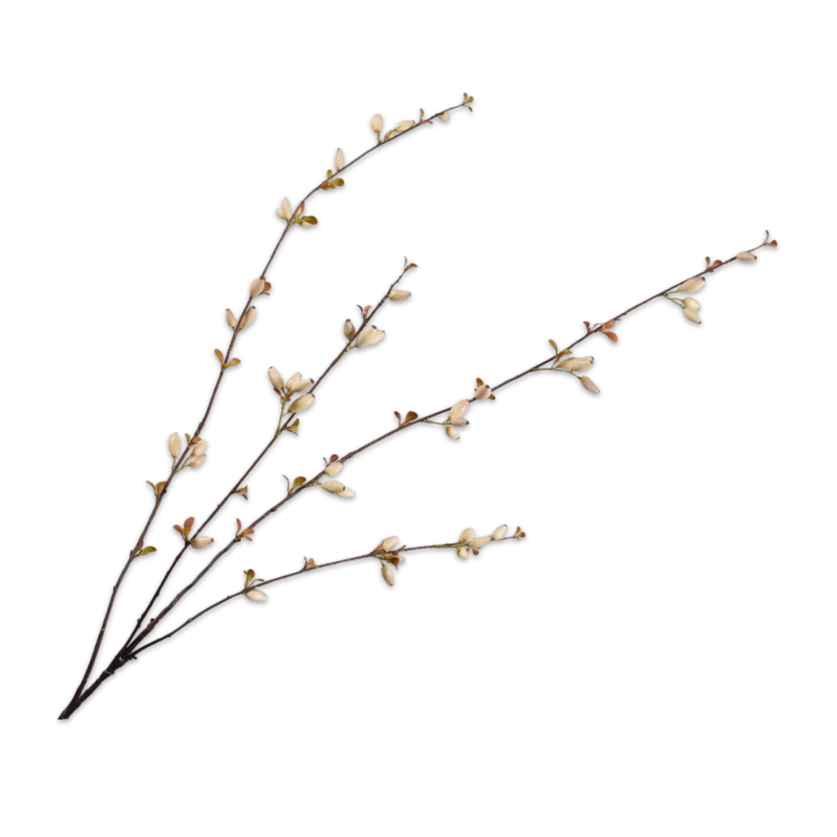 Kunsttak Rozenbottel creme 121 cm