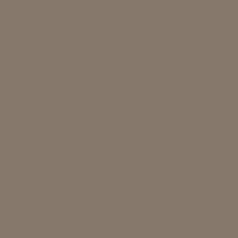 The farm paint - Mocha