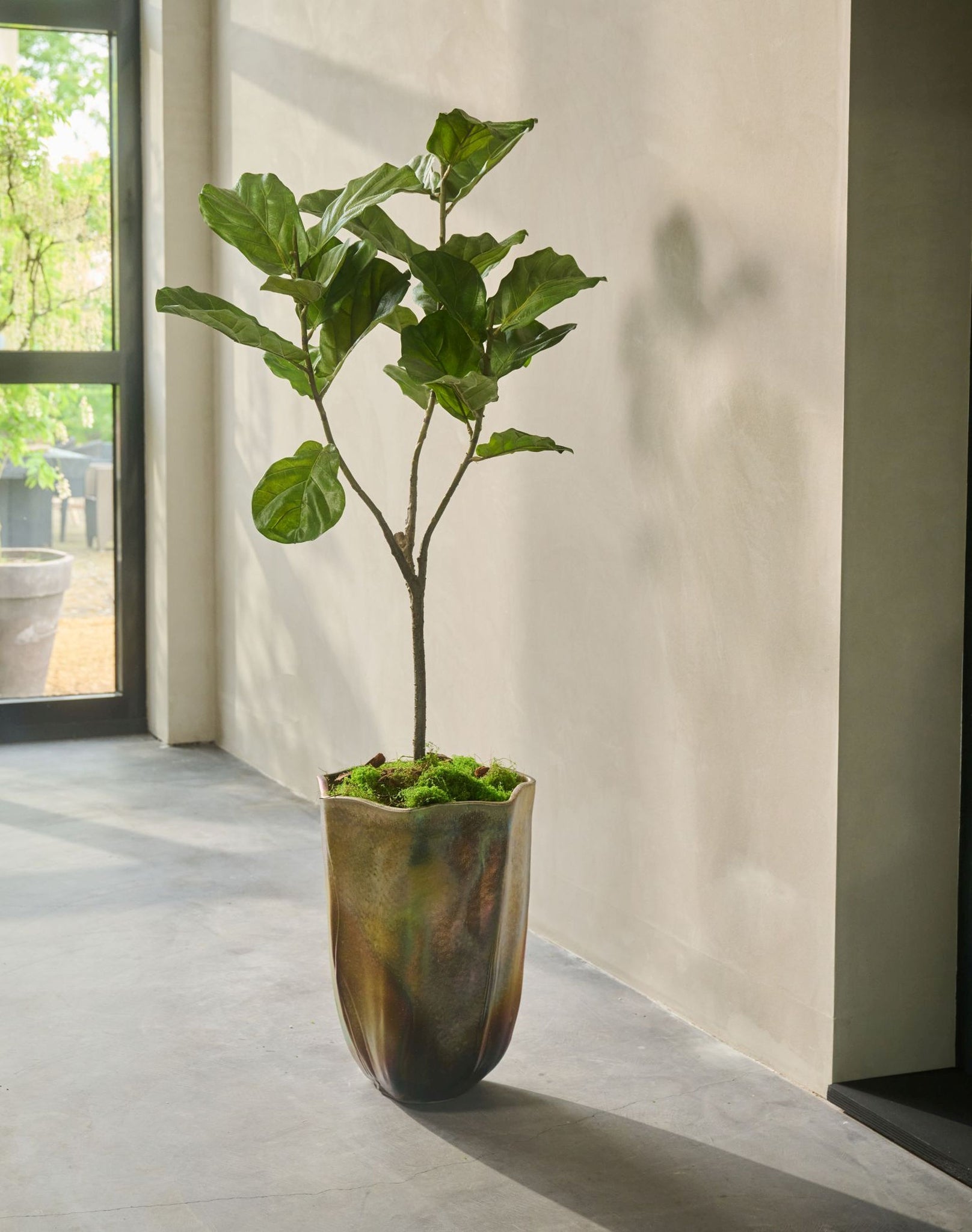 Kunstplant Ficus i/pot groen  151 cm