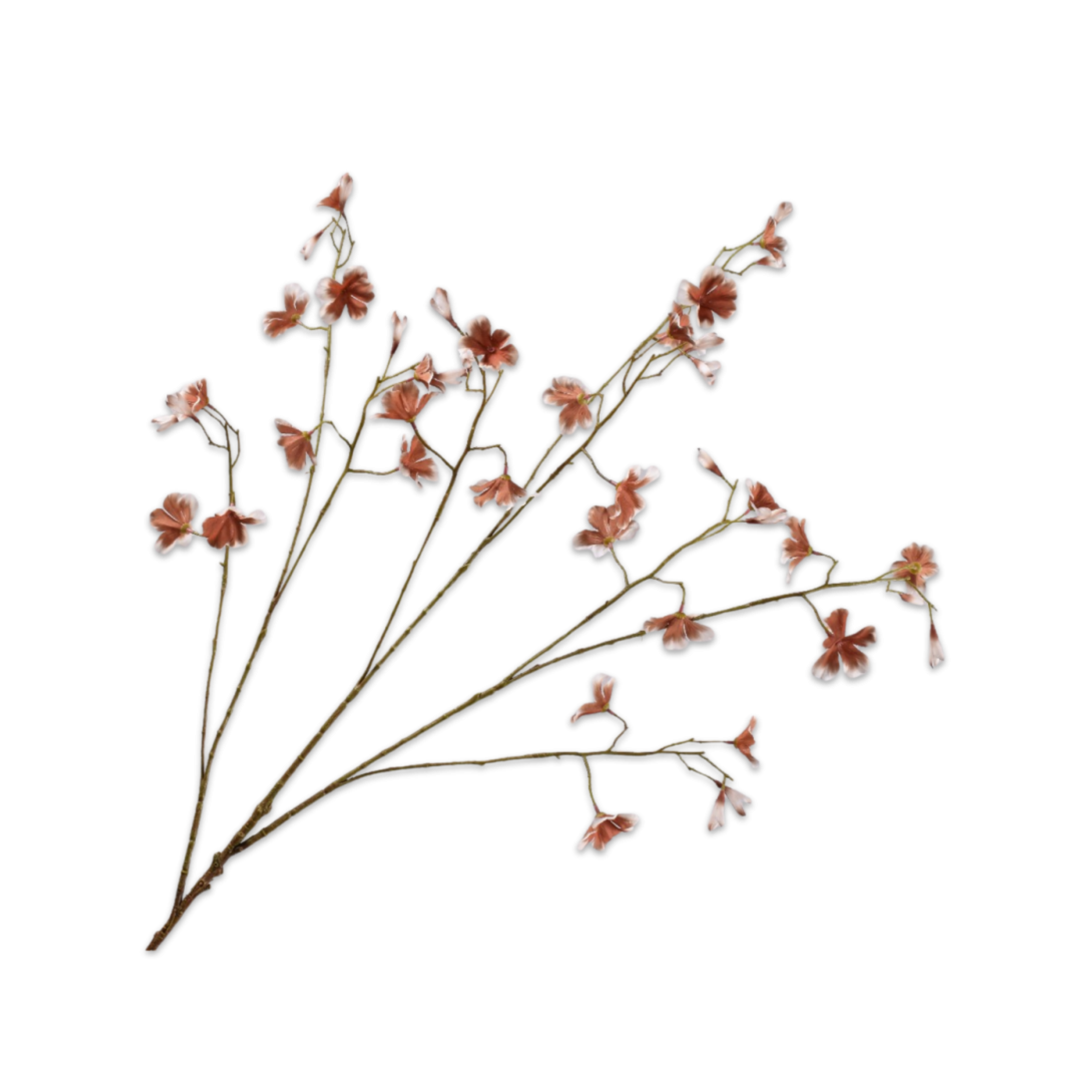 Kunsttak Begonia Creme/Bruin 106 cm