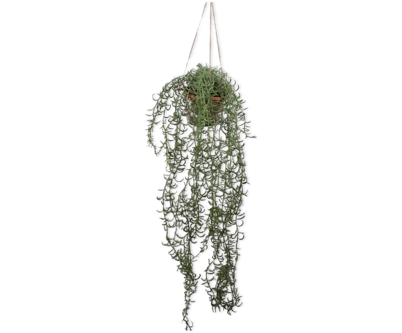 Kunstplant Senecio hang groen  173 cm
