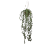 Kunstplant Senecio hang groen  173 cm