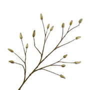 Kunsttak Magnolia tak bruin