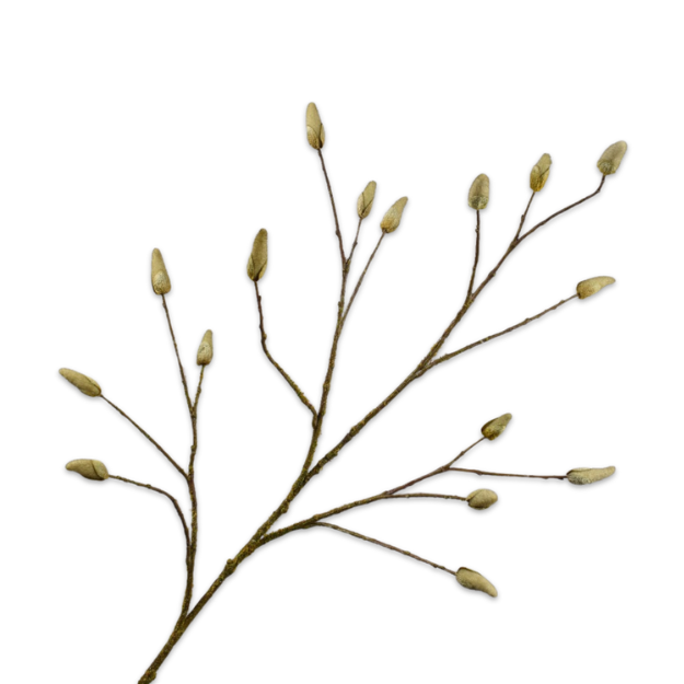 Kunsttak Magnolia tak bruin