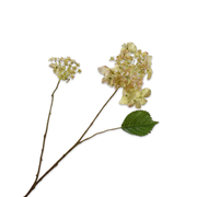 Kunsttak Hortensia tak GRN LT RT