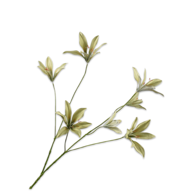 Kunsttak Lelie tak groen