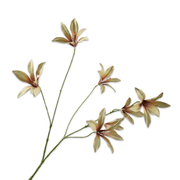 Kunsttak Lelie tak mauve