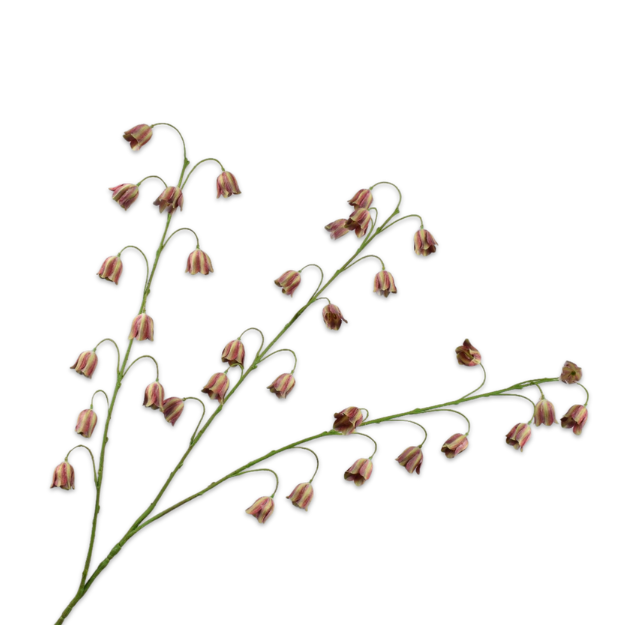 Kunsttak Fritillartia tak BOR/GRN