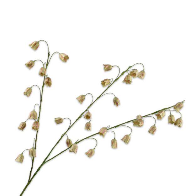 Kunsttak Fritillartia tak MVE/GRN