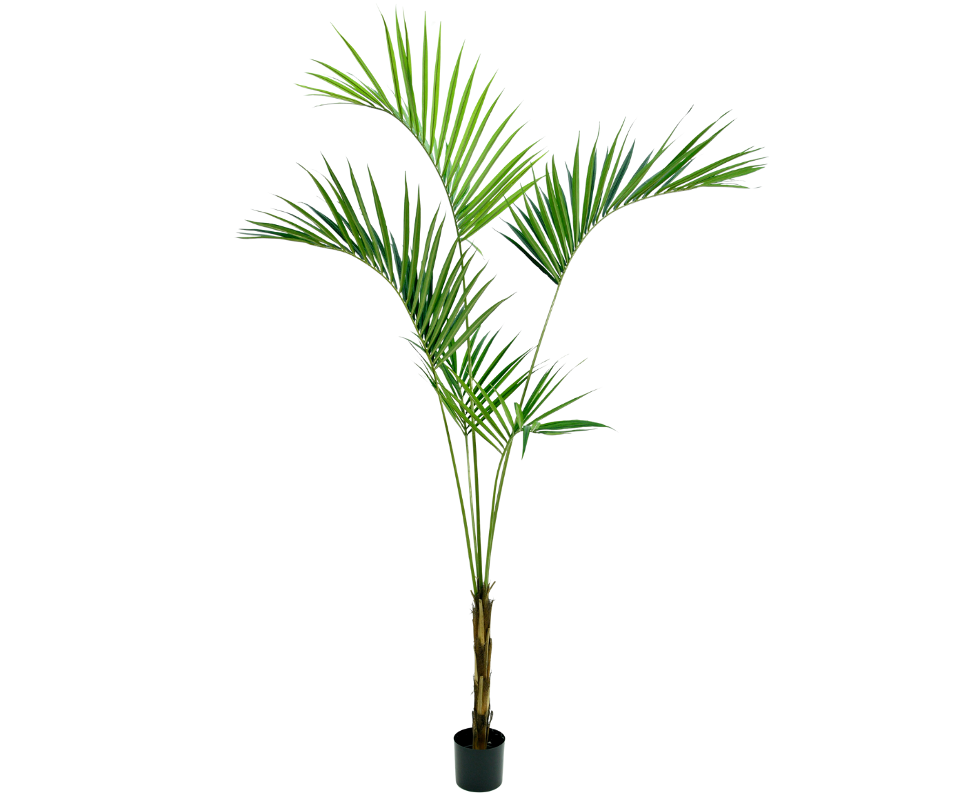 Kunstboom Palm kentia groen  250 cm