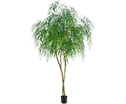 Wilg i/pot groen  243 cm