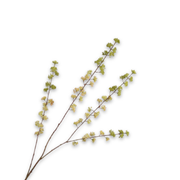 Kunsttak Bessentak GRN/Wit 96 cm