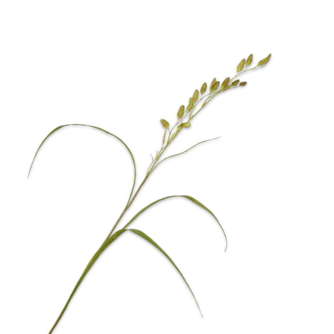 Kunsttak Gras tak groen 108 cm