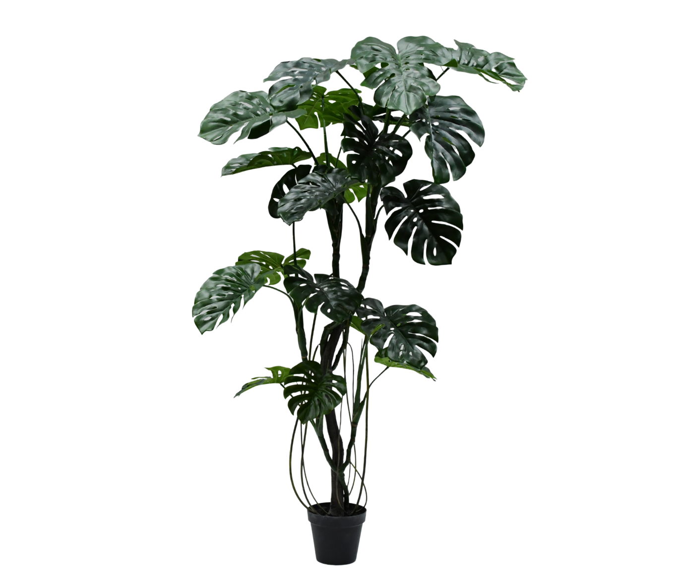 Kunstplant Monstera i/pot groen  210 cm