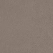 The farm paint - Pecan
