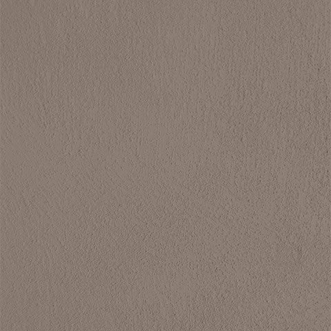 The farm paint - Pecan