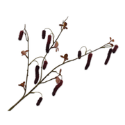 Kunsttak Alnus Bordeaux 81 cm