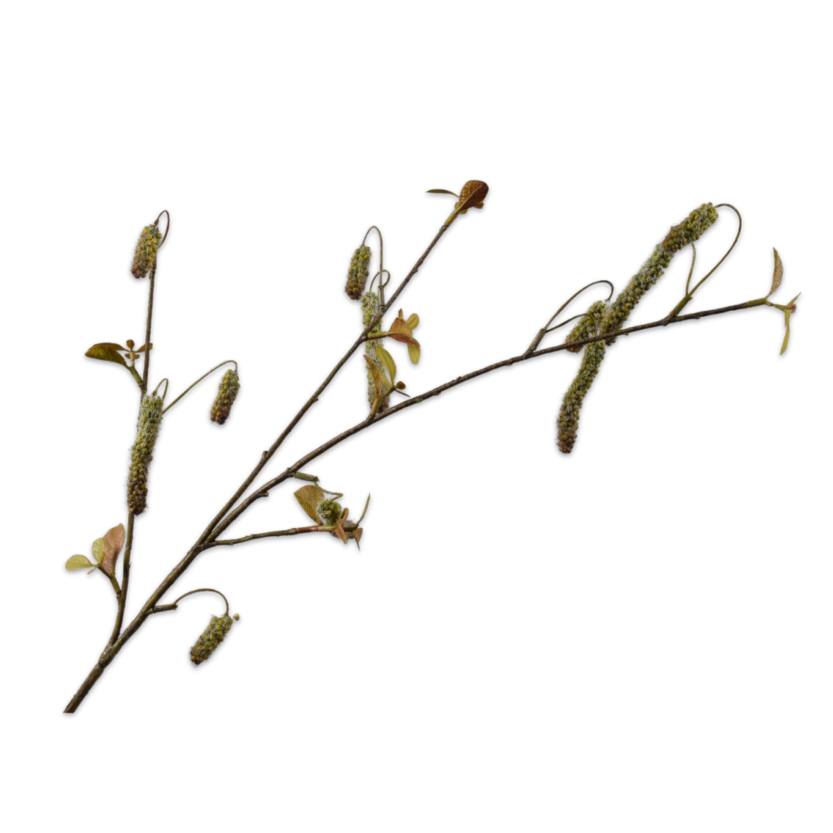 Kunsttak Alnus Groen 81 cm