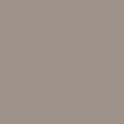 Paint - Little Parrot