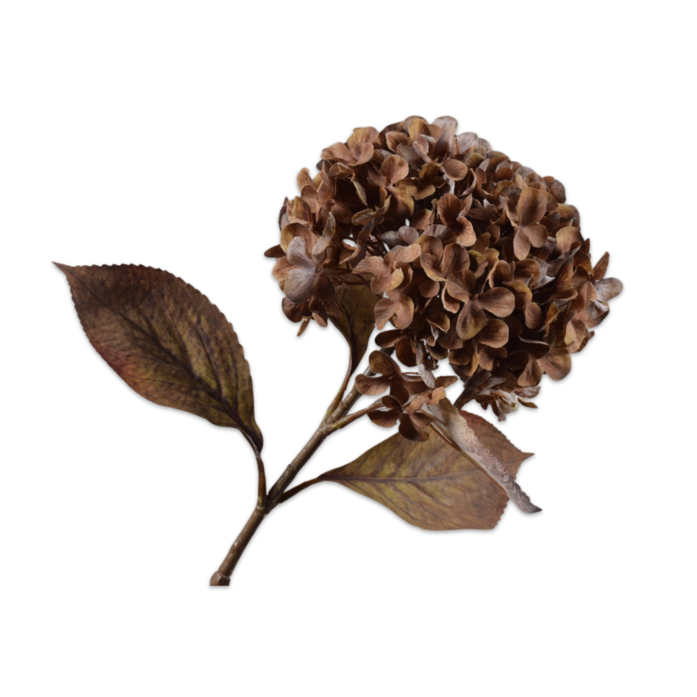 Kunsttak Hortensia Bruin 67 cm