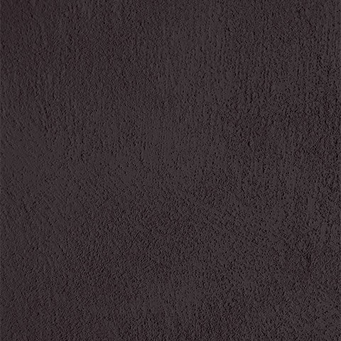 The farm paint - Eggplant