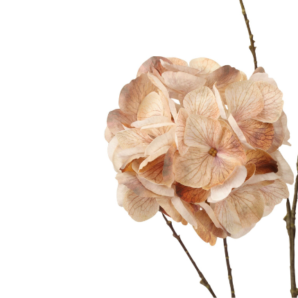 Kunsttak Hortensia x6 100 cm Licht Coffee