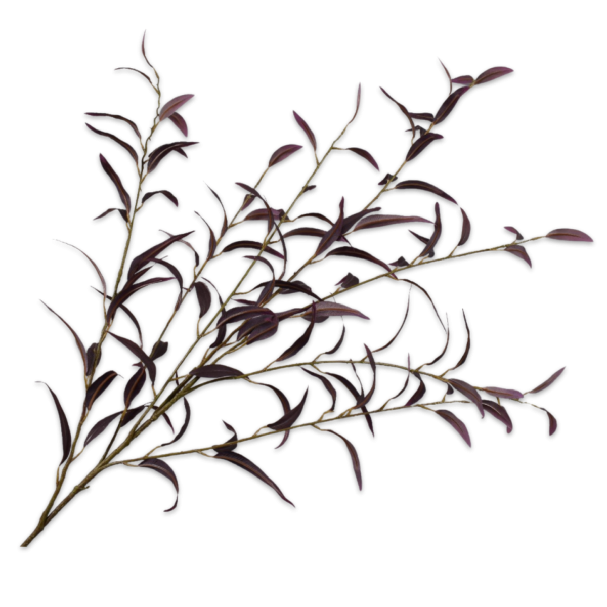 Kunsttak Eucalyptus Bordeaux 123 cm