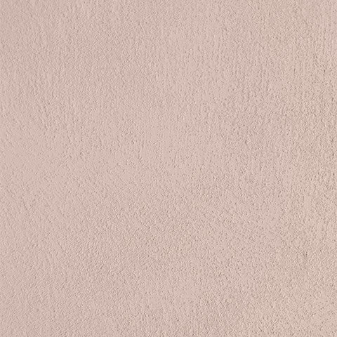 The farm paint - Grumpy duck
