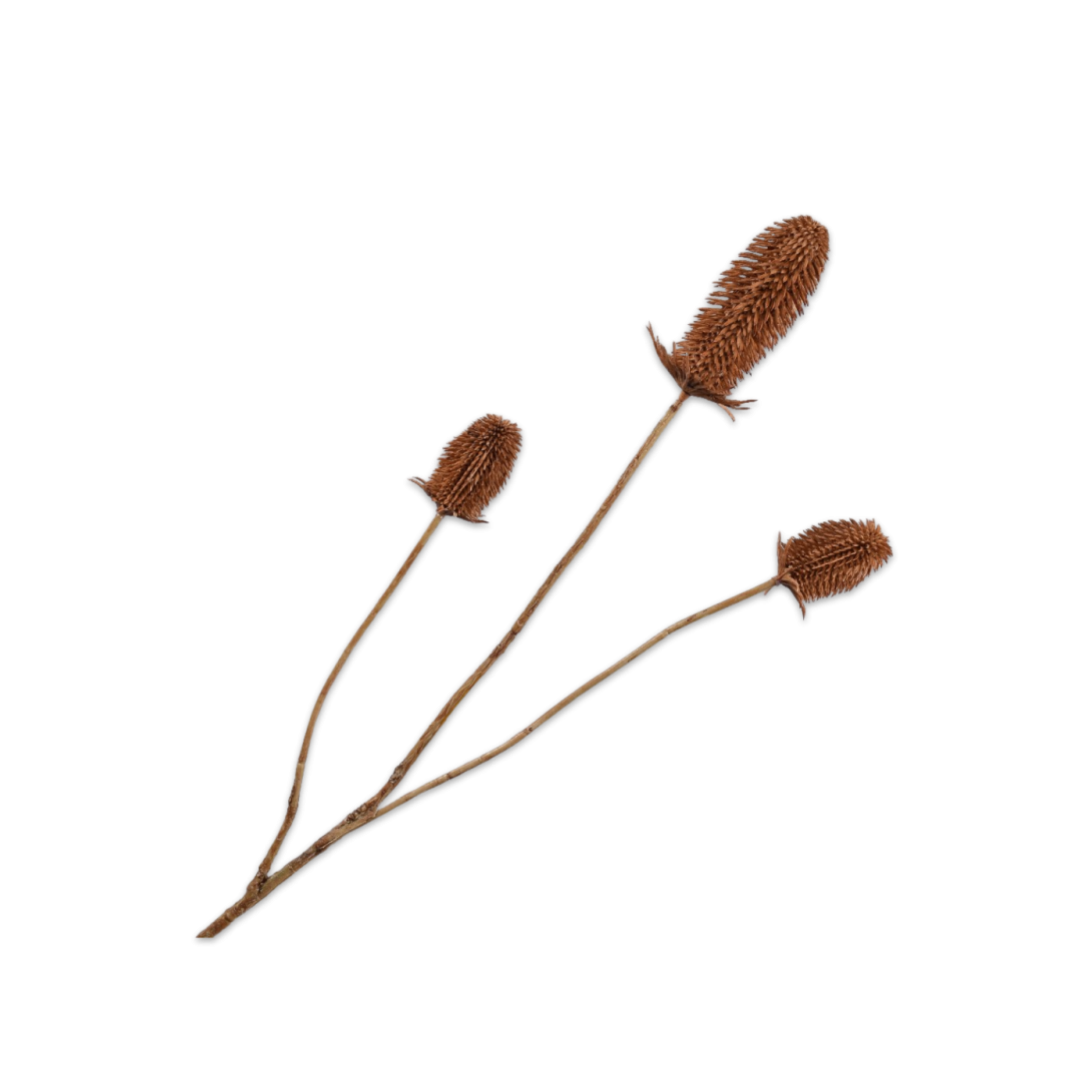 Kunsttak Distel Bruin 111 cm