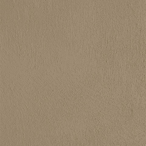 Paint - Sunflower
