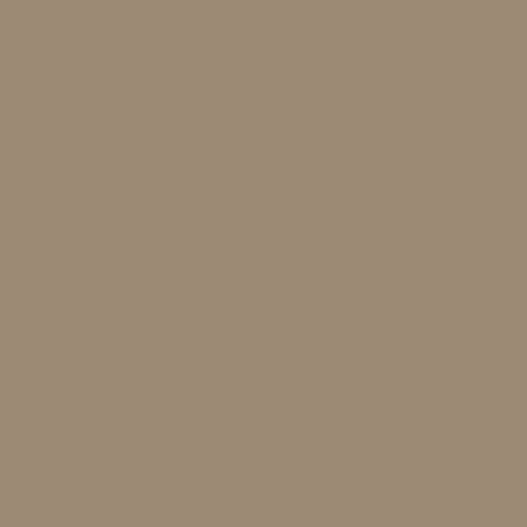 Paint - Cactus
