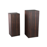 Tiess Brown Wooden Veneer Pedestal Set Of 2