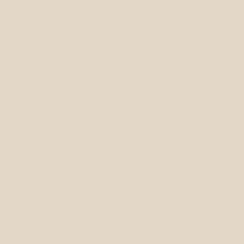 The farm paint - White fox