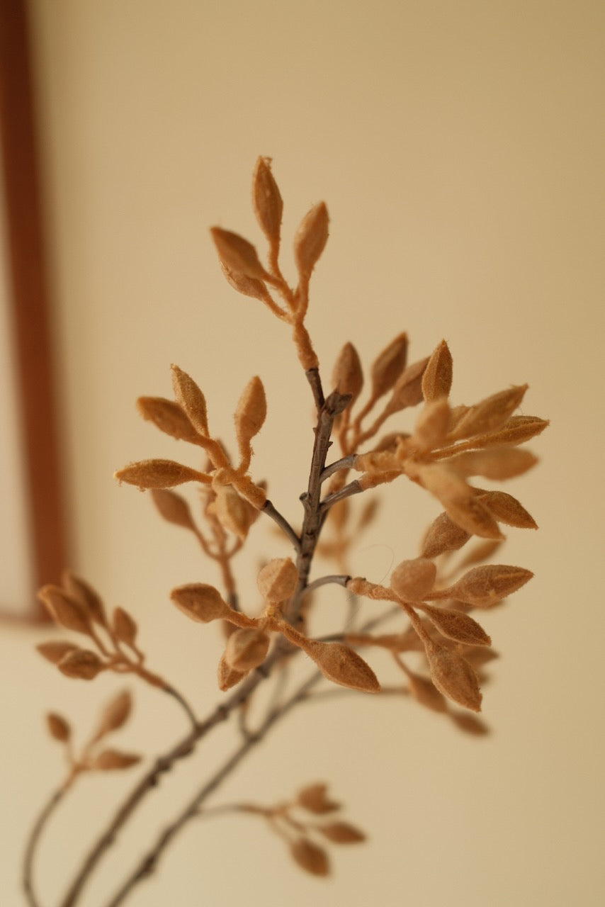 Kunsttak Wutong fruit tak 77 cm Beige