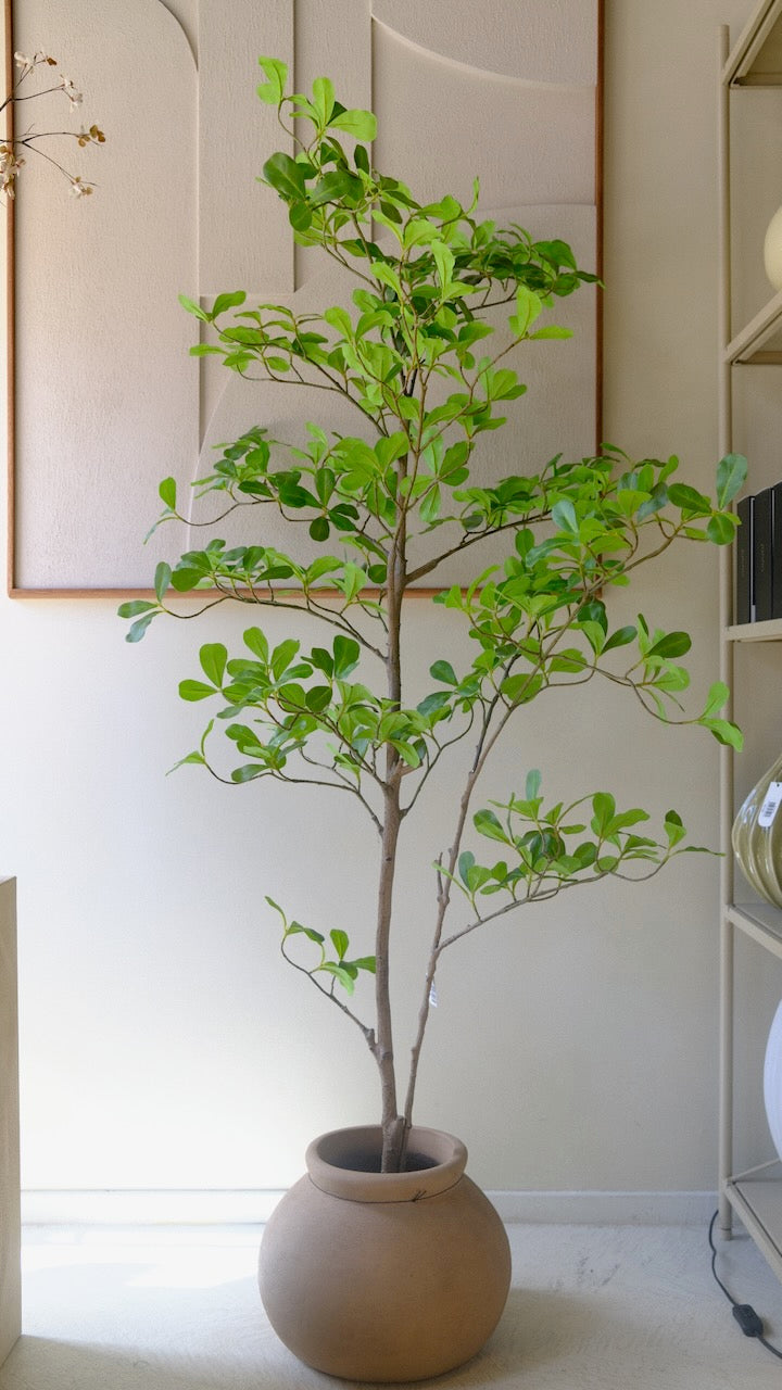 Kunstboom moringa tree 150 cm
