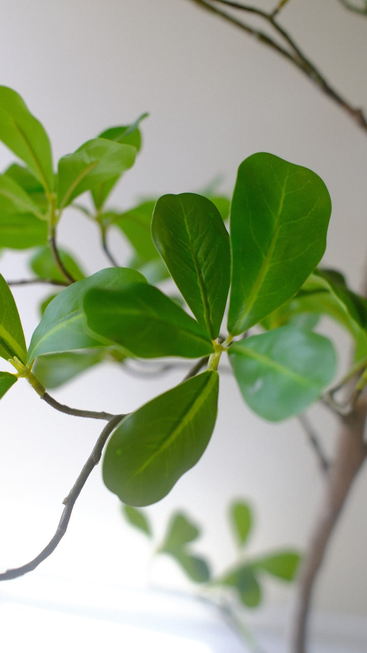 Kunstboom moringa tree 150 cm