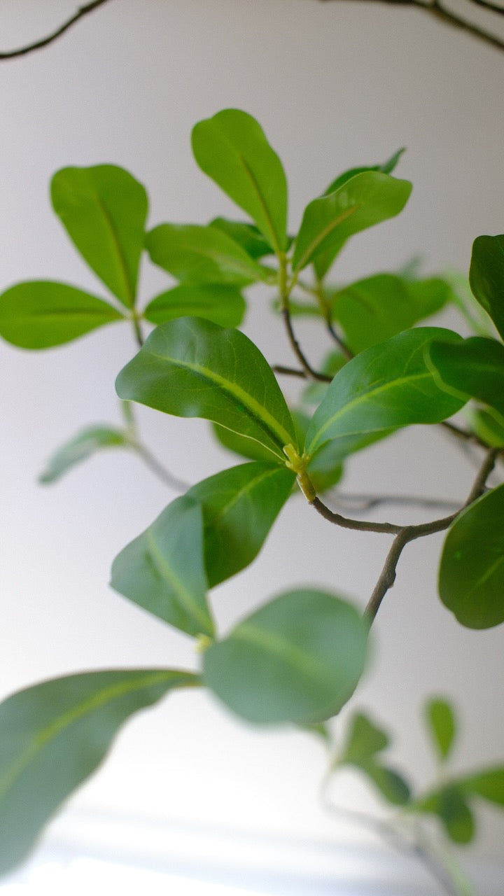 Kunstboom moringa tree 150 cm
