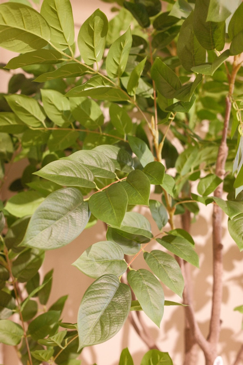 Kunstboom sandalwood 240 cm