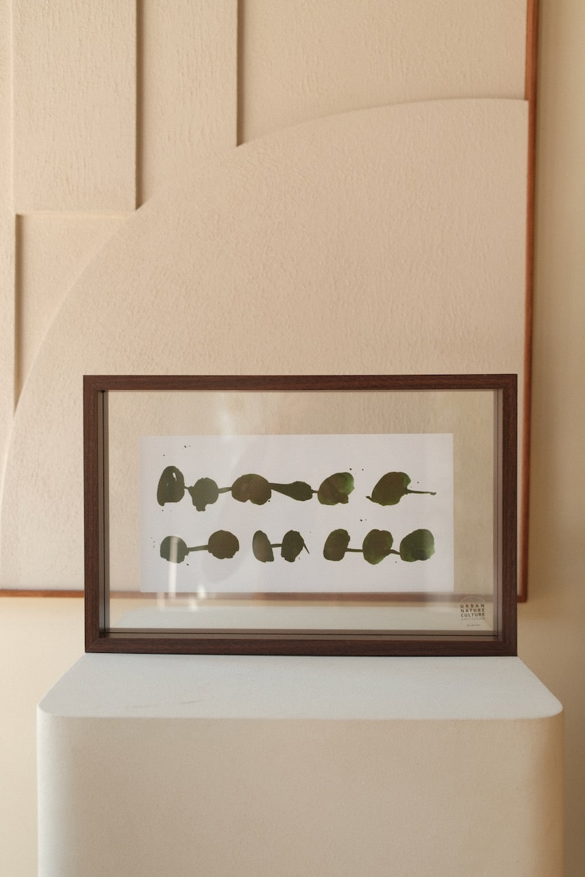Floating walnut XL photo frame