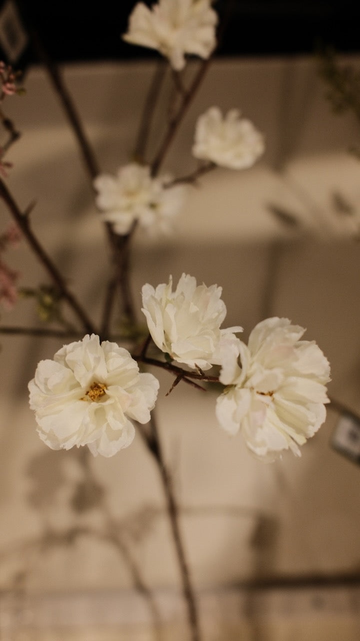 Kunsttak Bloesem tak Wit 158 cm