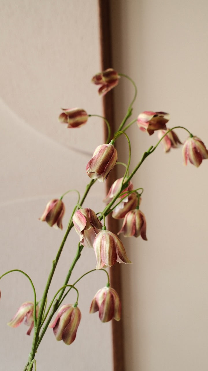 Kunsttak Fritillartia tak BOR/GRN